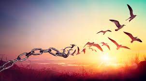 A styalised image of a chain that has one end turning into birds that fly away.
